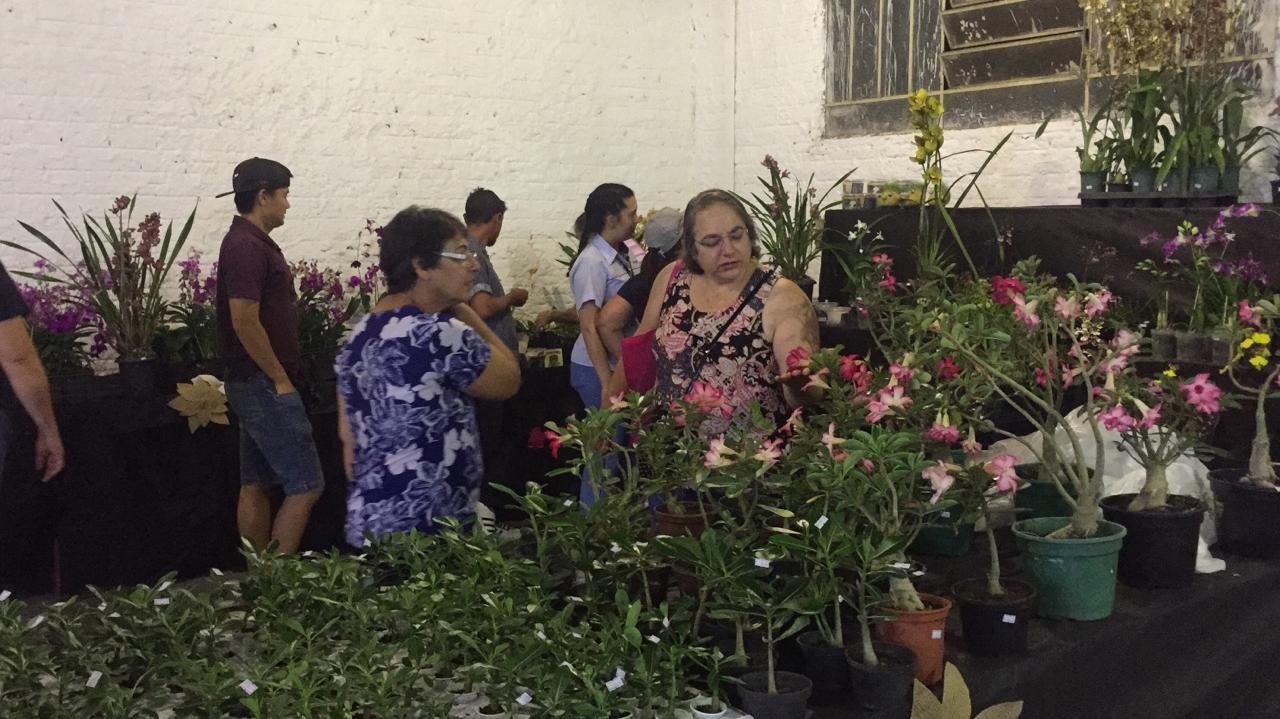 Feira regional de produtores de flores muda de local na Expoingá