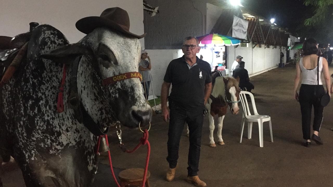 Passeios em pequenos animais divertem crianças durante a Expoingá