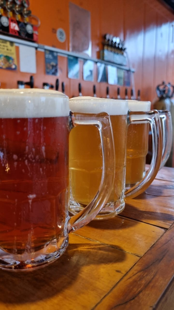 Conheça as diferenças entre as bebidas participantes e saiba como harmonizar