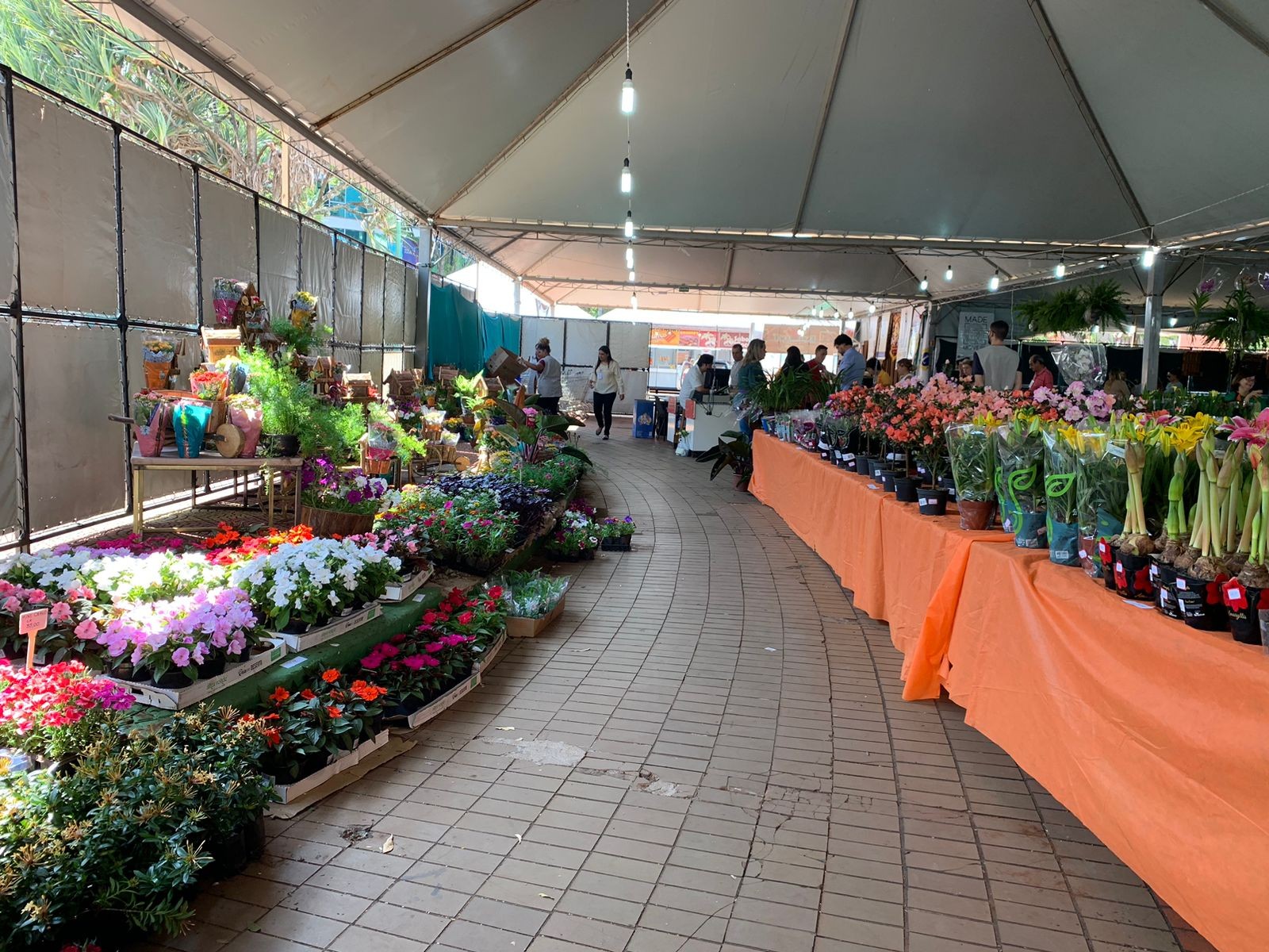 Feira de flores de Maringá começa nessa quinta (29)