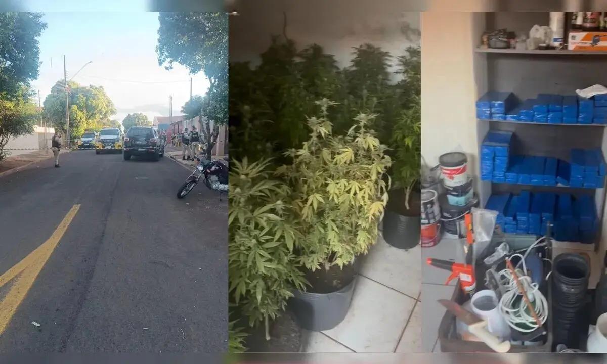 Homem morre em confronto com a PM ao ser pego com plantação de maconha