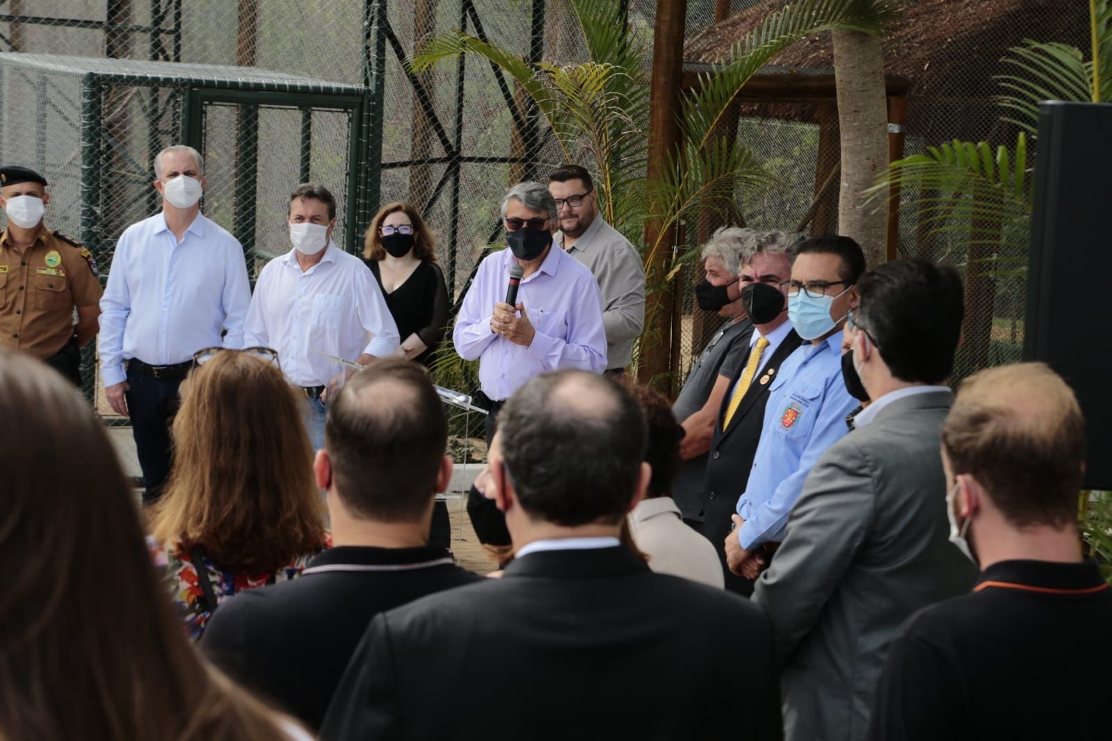 Aves apreendidas serão soltas em ambiente silvestre