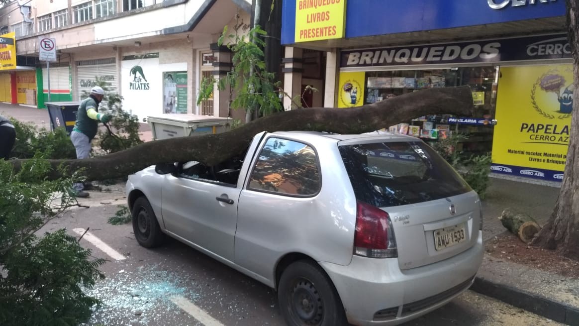 Galho cai sobre veículo em Maringá