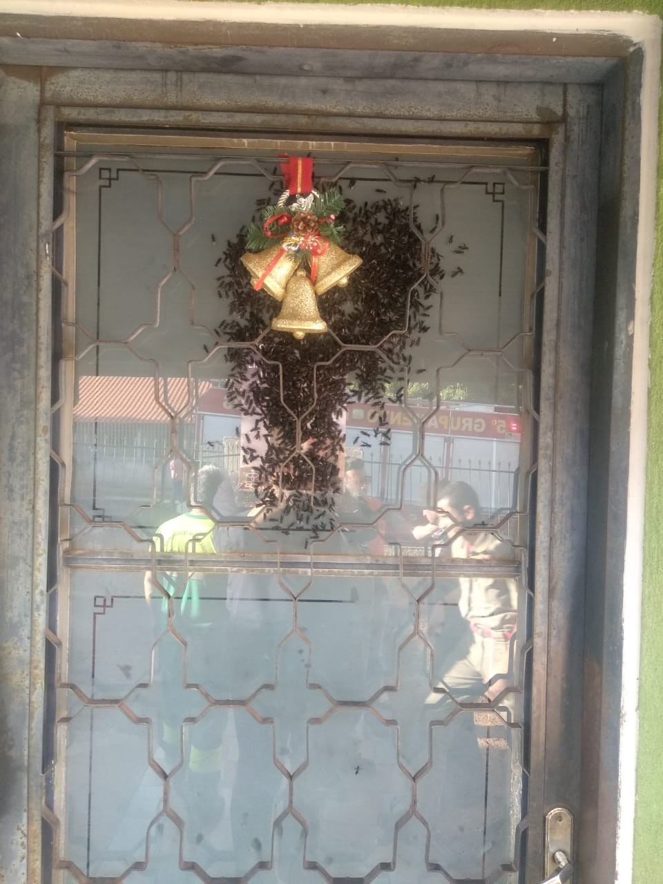 Maringá teve 882 pedidos de retirada de enxames este ano