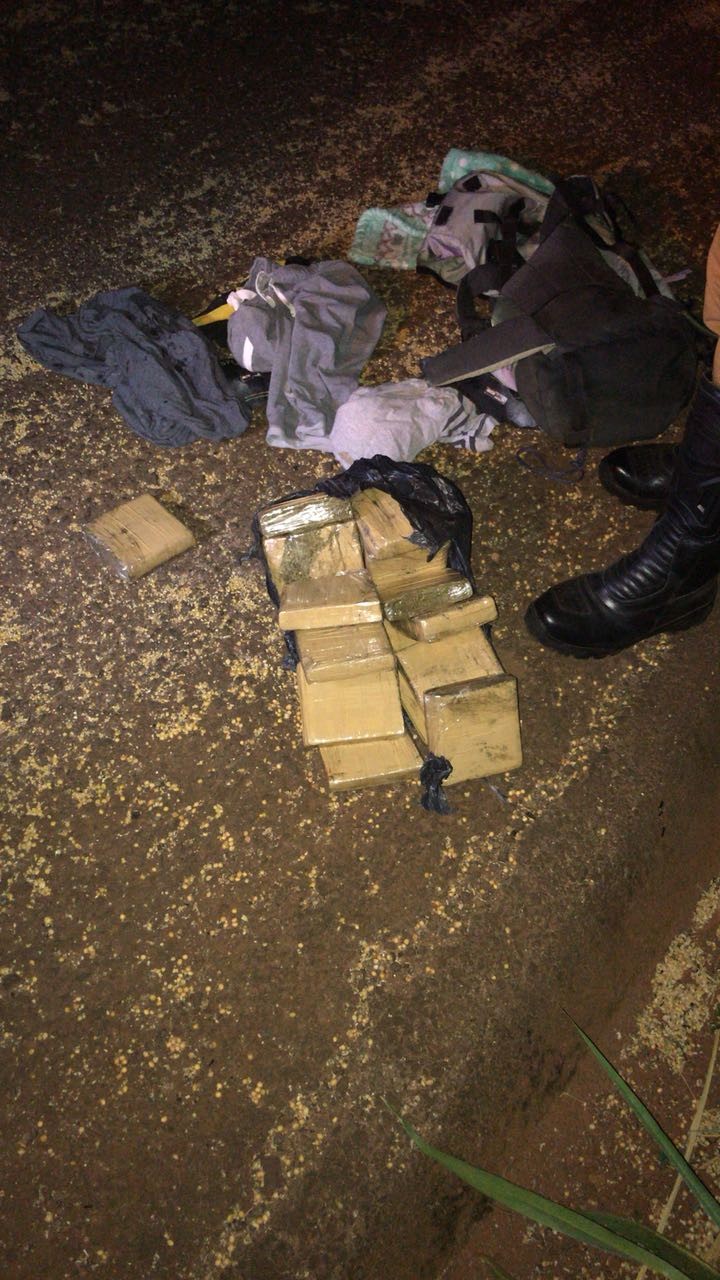 21 tabletes de maconha são apreendidos em ônibus de linha