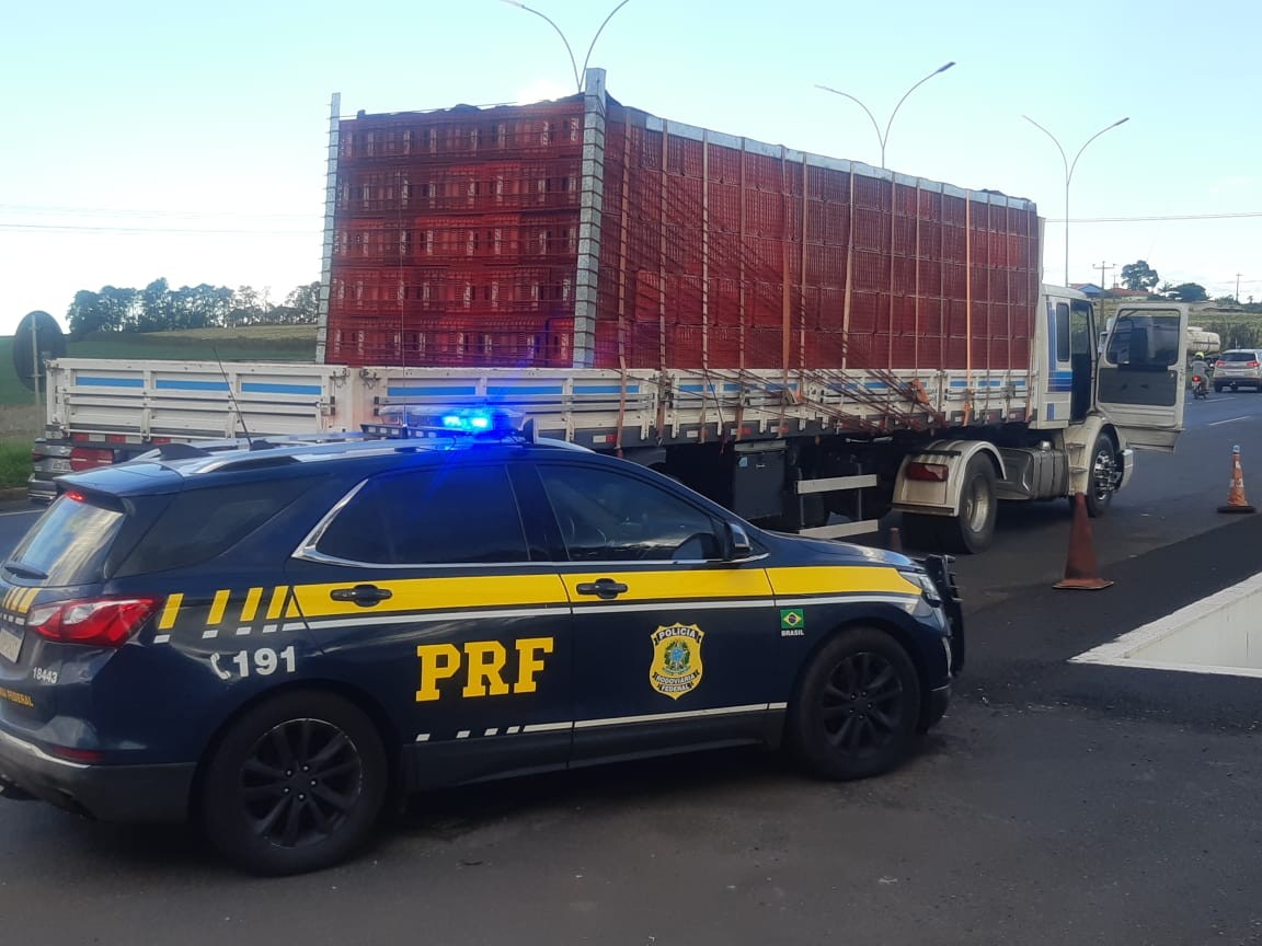 Polícia apreende 75 mil maços de cigarro na região de Maringá