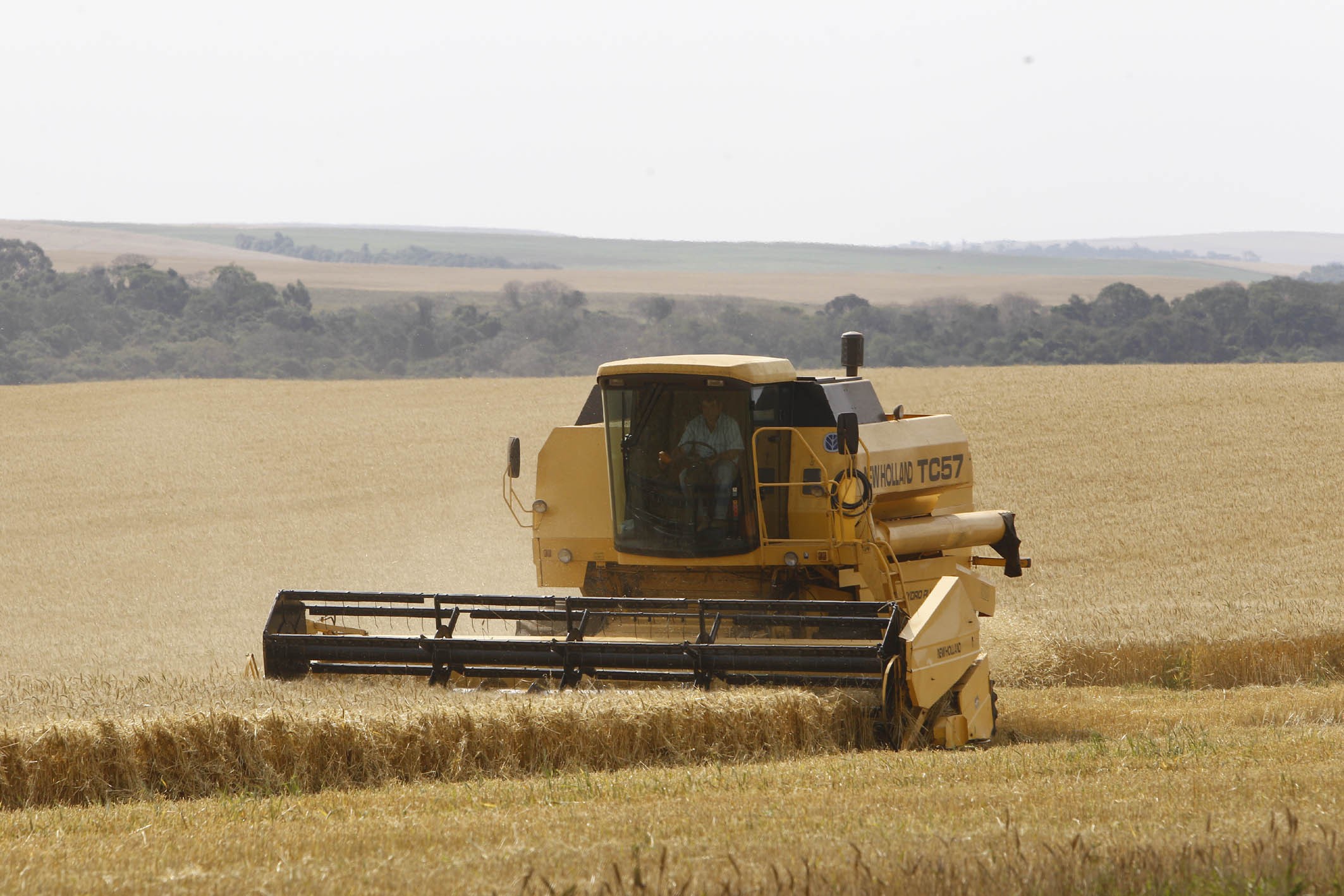 Seguro Rural: o que aconteceu neste ano e o que está previsto para 2020