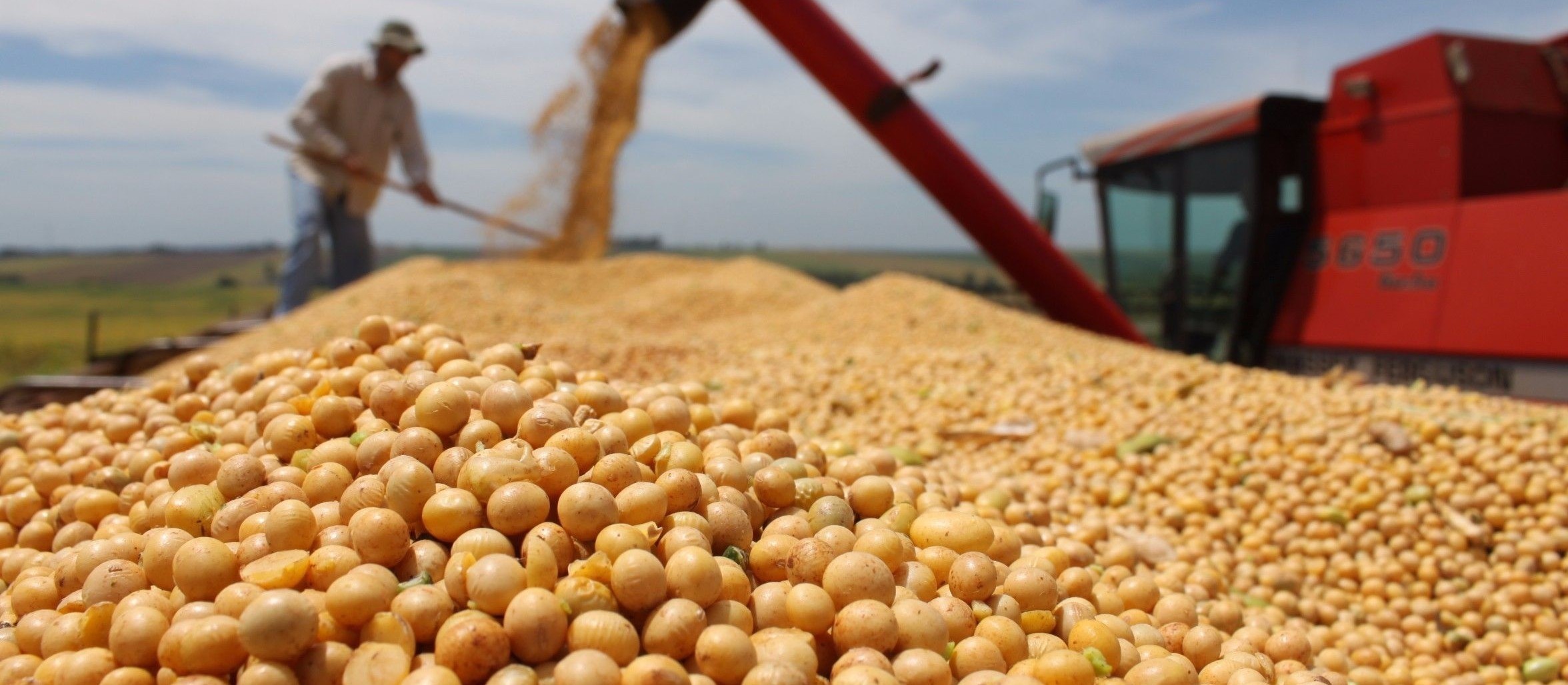 Soja custa R$ 77,50 a saca em Campo Mourão