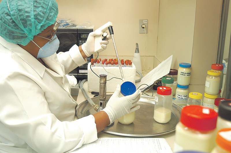 Banco de leite do HUM precisa de doadoras