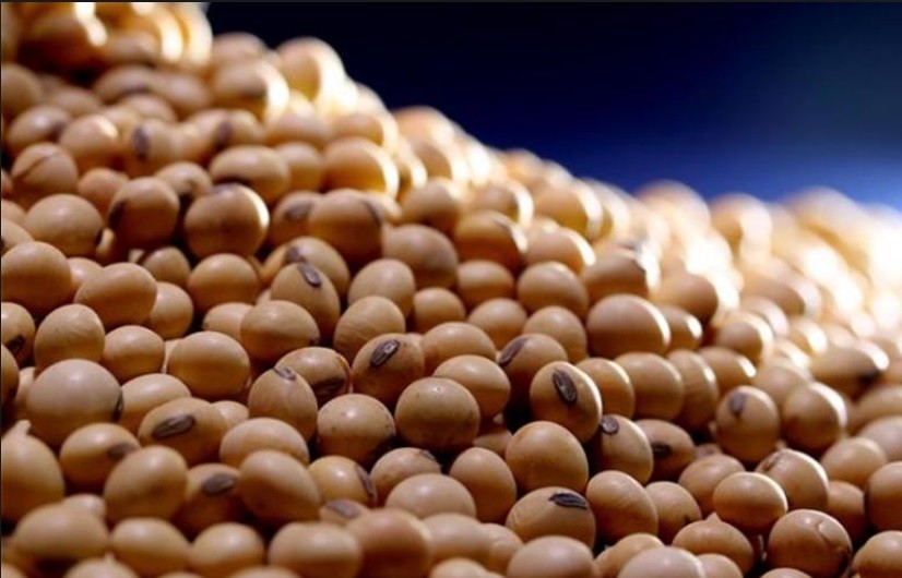 Preço médio da soja é de R$ 84 a saca nos portos do país