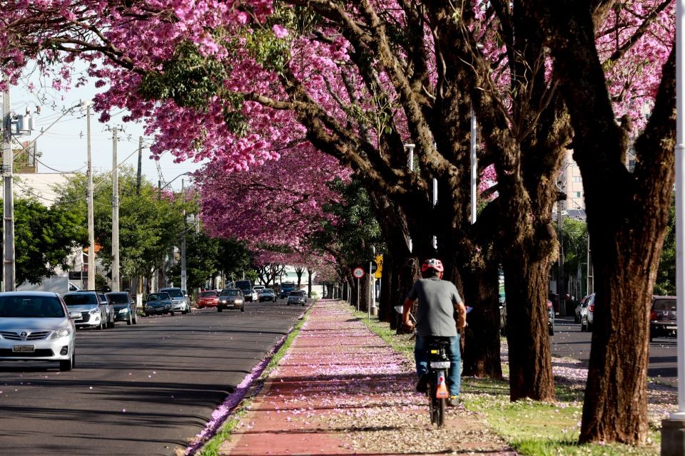 Publicado contrato para construção de ciclovia na Avenida Mário Urbinati