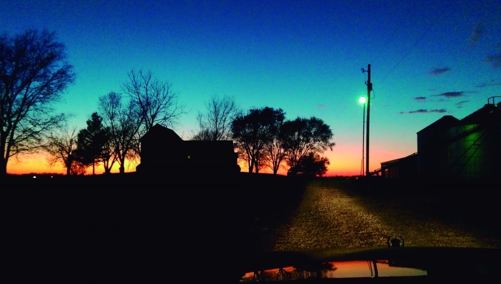 Após pedido da Faep e sindicatos rurais, governo estadual mantém Tarifa Rural Noturna