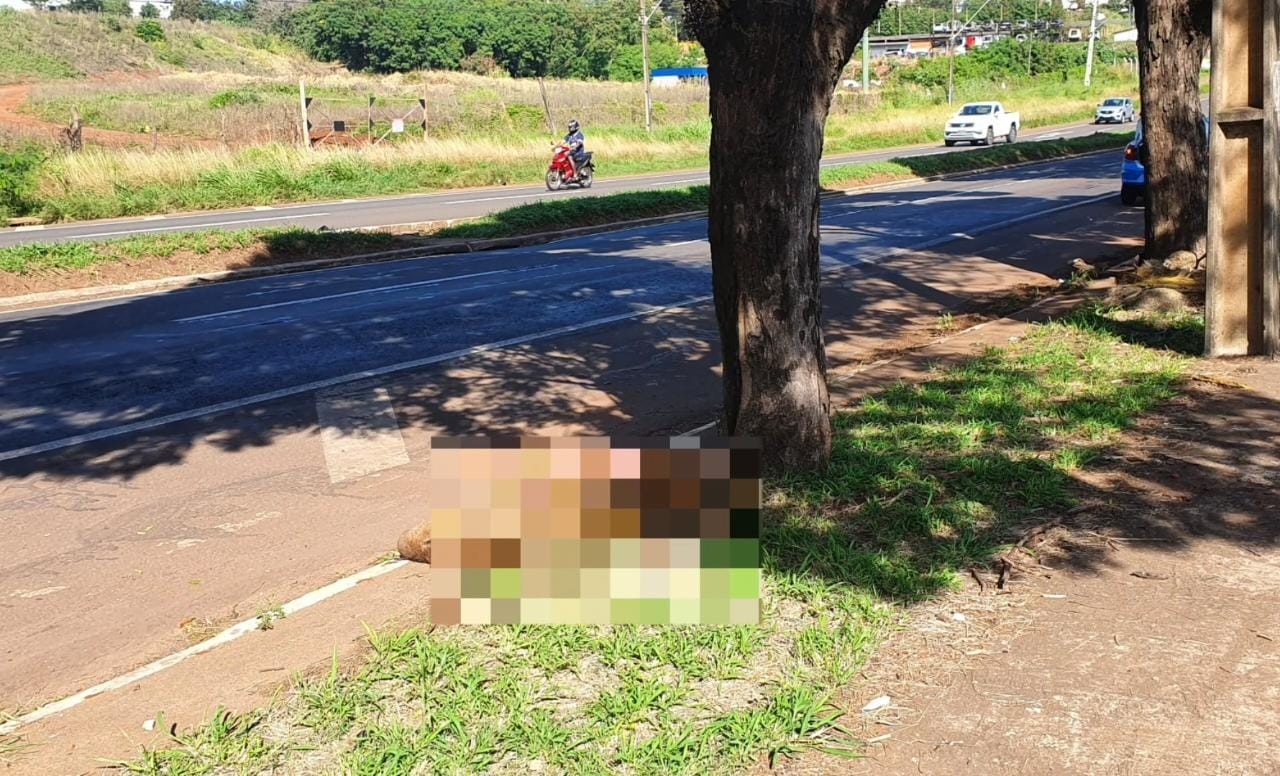 Motociclista fica ferido ao atropelar capivara na Avenida Colombo em Maringá