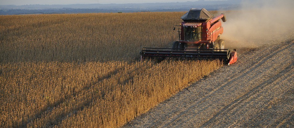 Brasil se consolida como celeiro do mundo