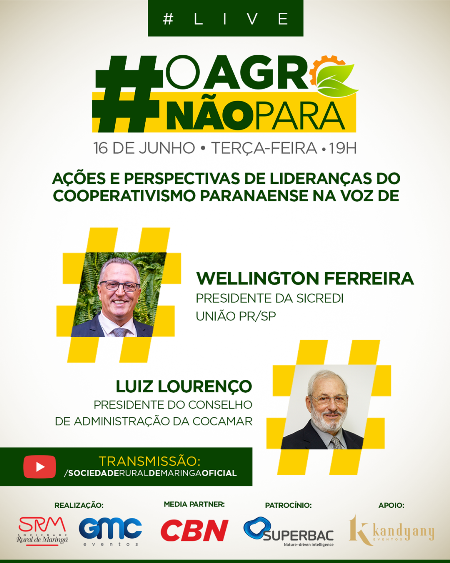 Evento online debate ações e perspectivas do cooperativismo no Paraná