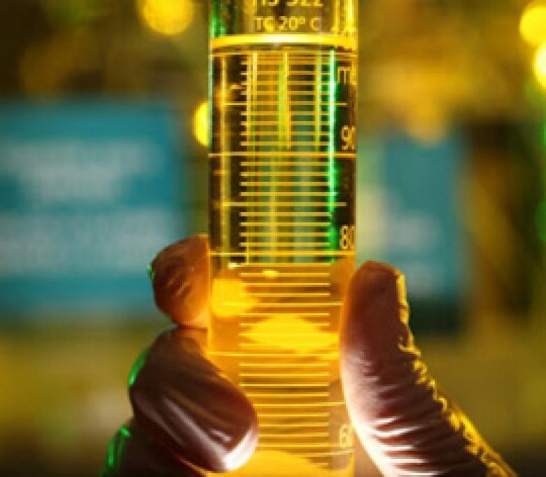 Carros da UEM pifam e universidade descobre que era combustível adulterado