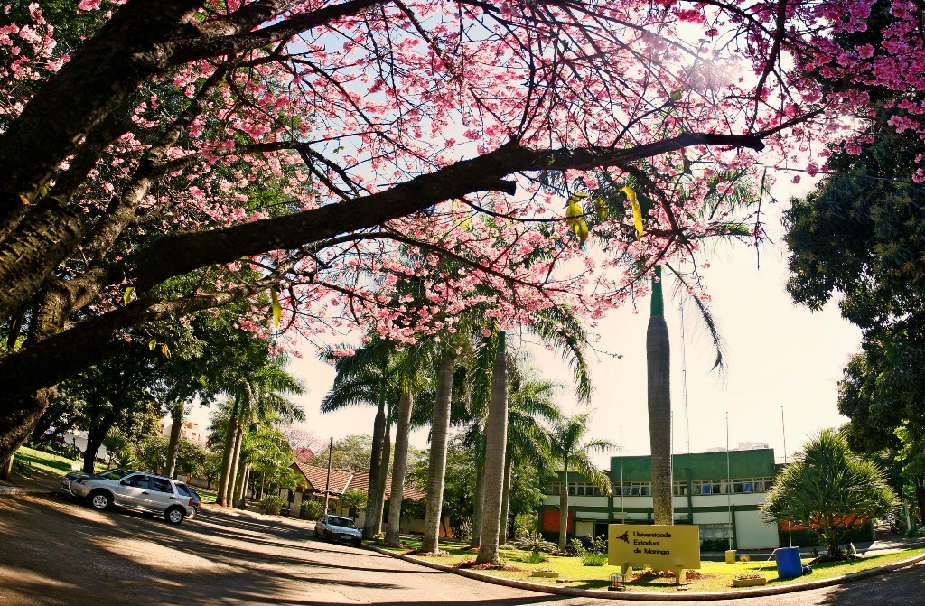 UEM abre PSS para contratar biólogo