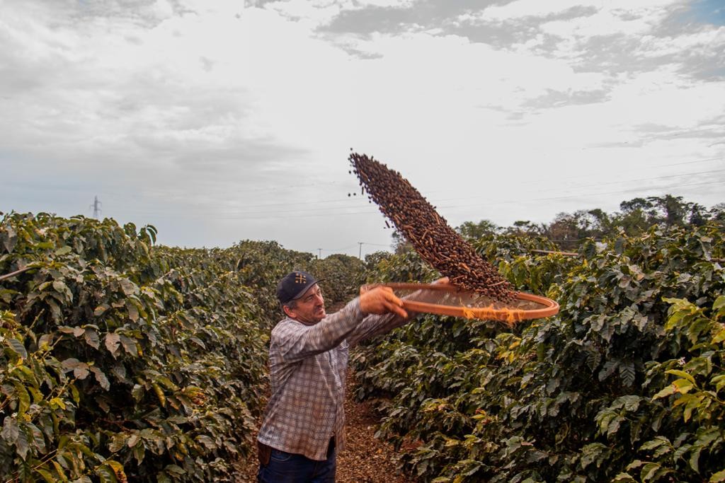 Produtores de Mandaguari buscam selo Denominação de Origem para café