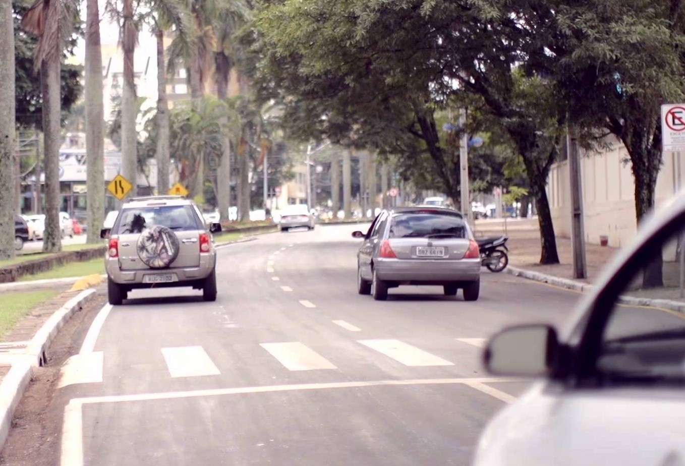 Mais de 280 pedestres foram atropelados este ano, 11 morreram