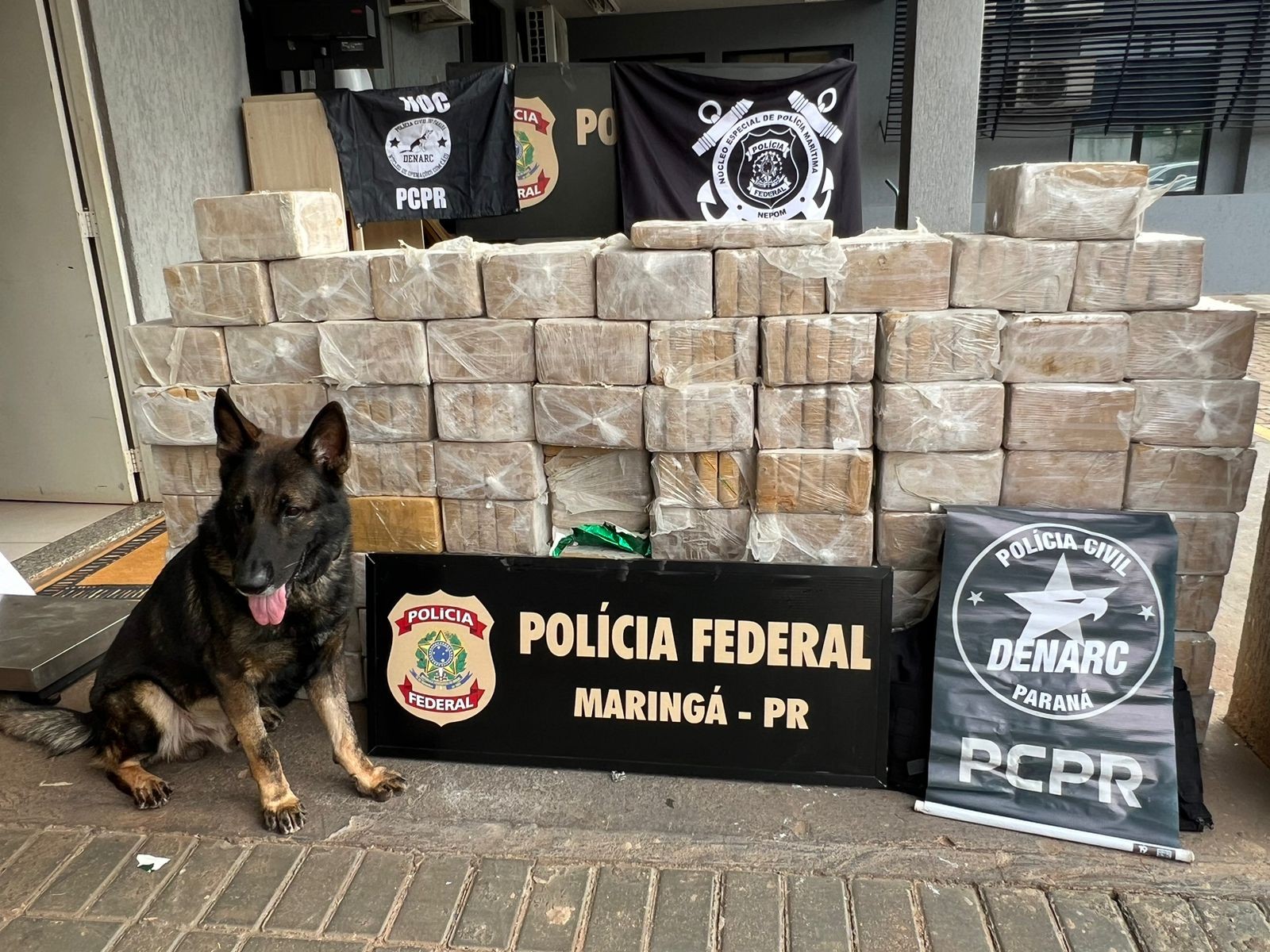 Ação da Polícia Federal e do Denarc apreende mais de 400 kg de cocaína