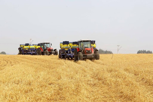 Soja custa R$ 86 a saca em Campo Mourão