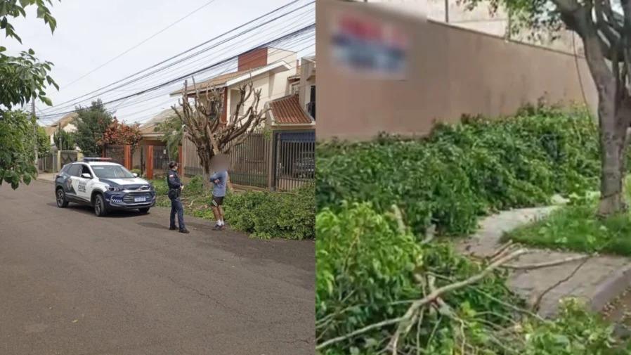 Homem é flagrado fazendo poda irregular de árvore em Maringá