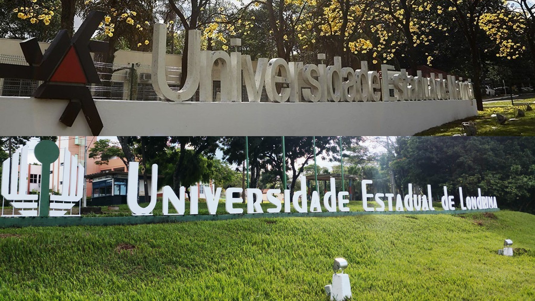 UEM e UEL estão entre universidades brasileiras que mais produzem pesquisa