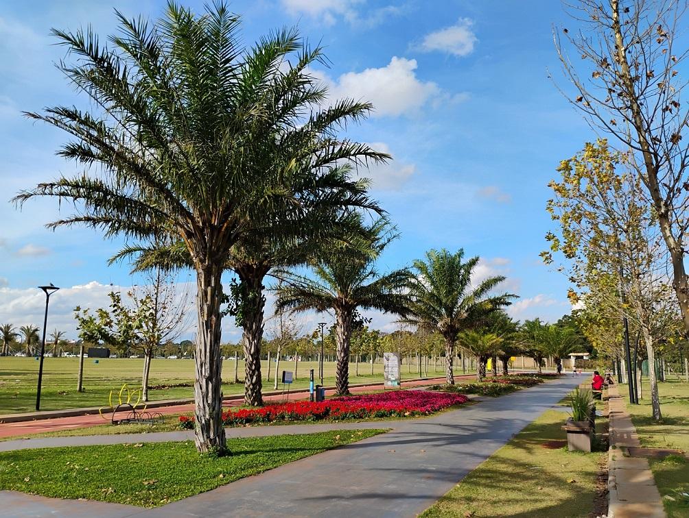 Sexta, fim de semana e início do verão: confira a previsão do tempo em Maringá e no Paraná