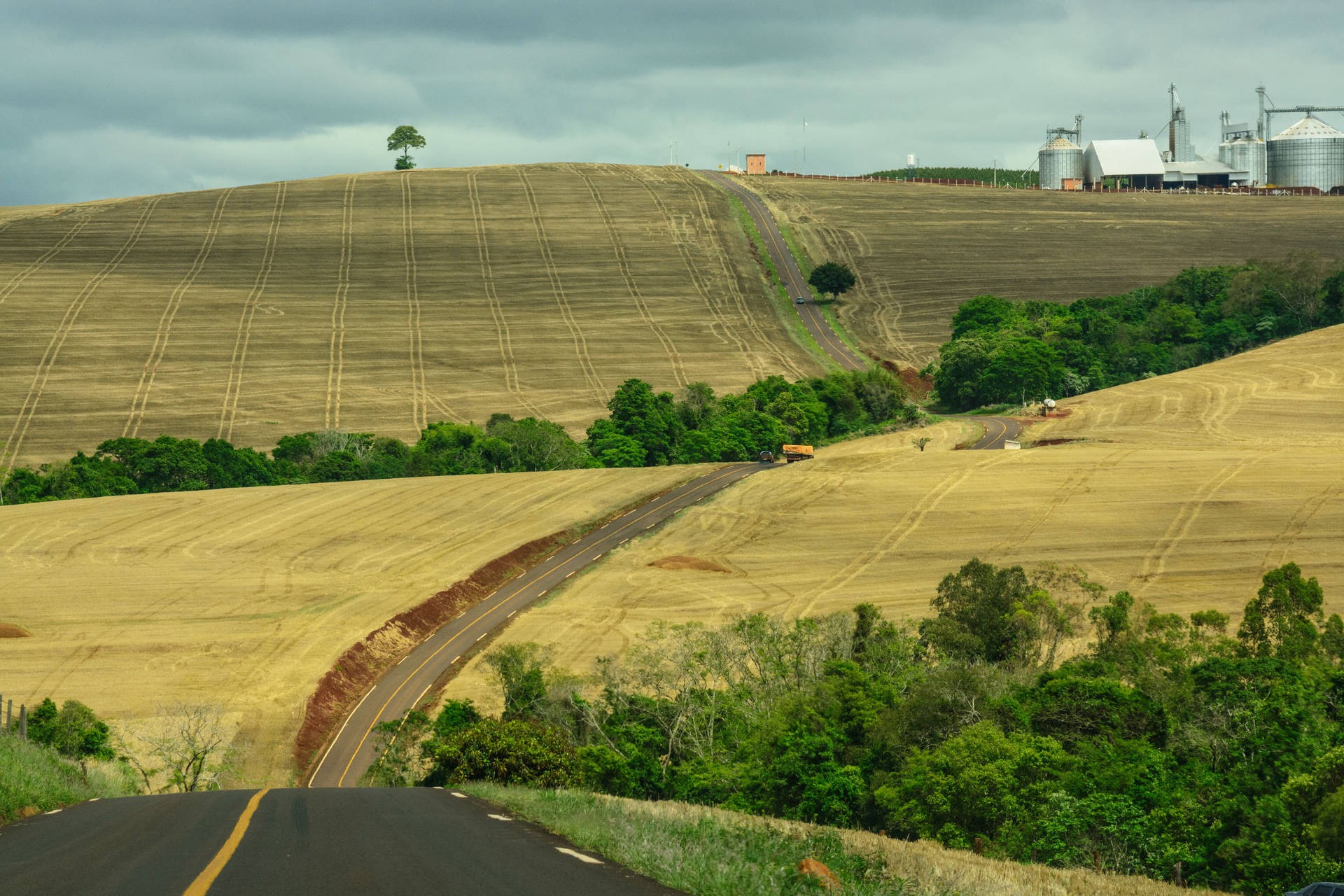Volume de crédito rural com taxas de juros do Plano Agrícola cresce 19%