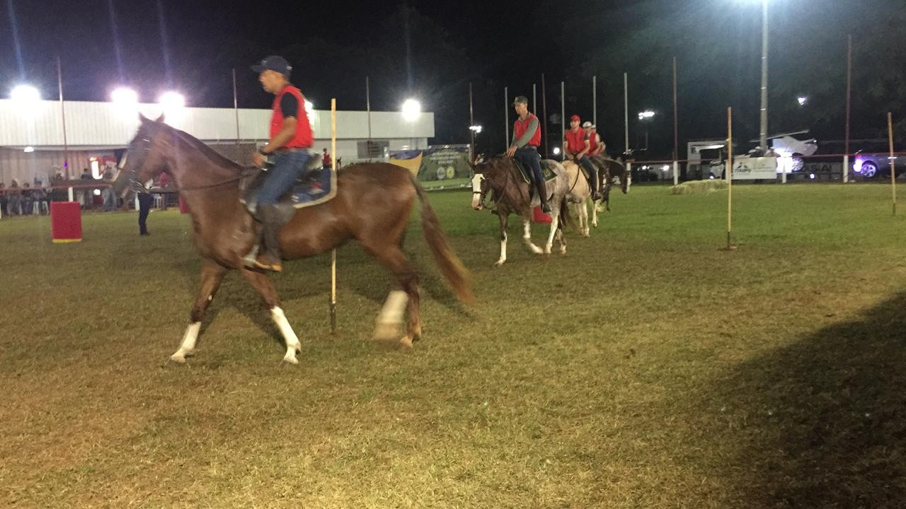 Começa julgamento da raça mangalarga na Expoingá