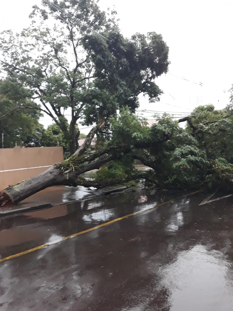Chuva provoca pontos de alagamentos em Maringá