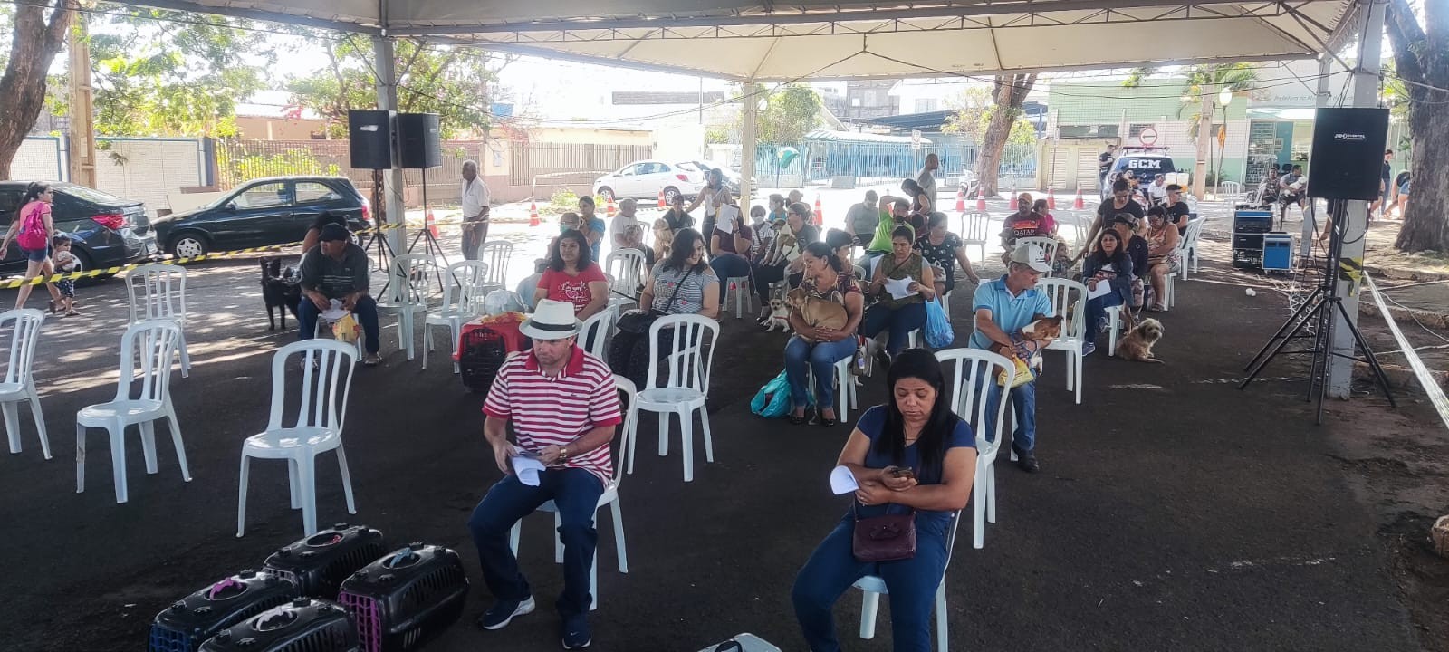 650 cães e gatos devem ser castrados até esse domingo (24)