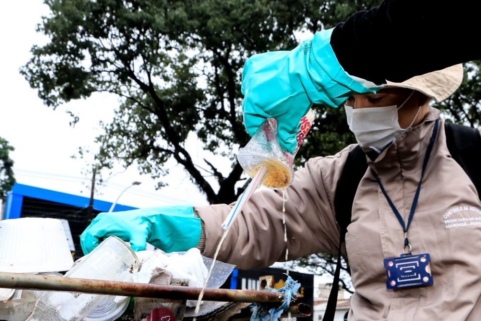 Com aumento de casos, Maringá está perto de declarar epidemia de dengue