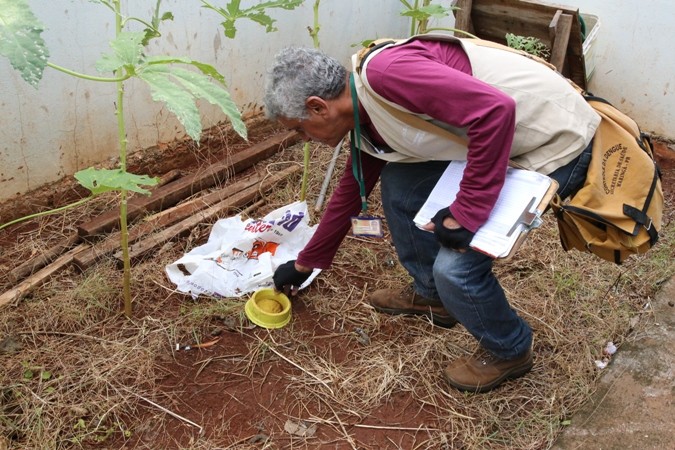 Sarandi, Maringá e Marialva realizam mutirão de combate à dengue