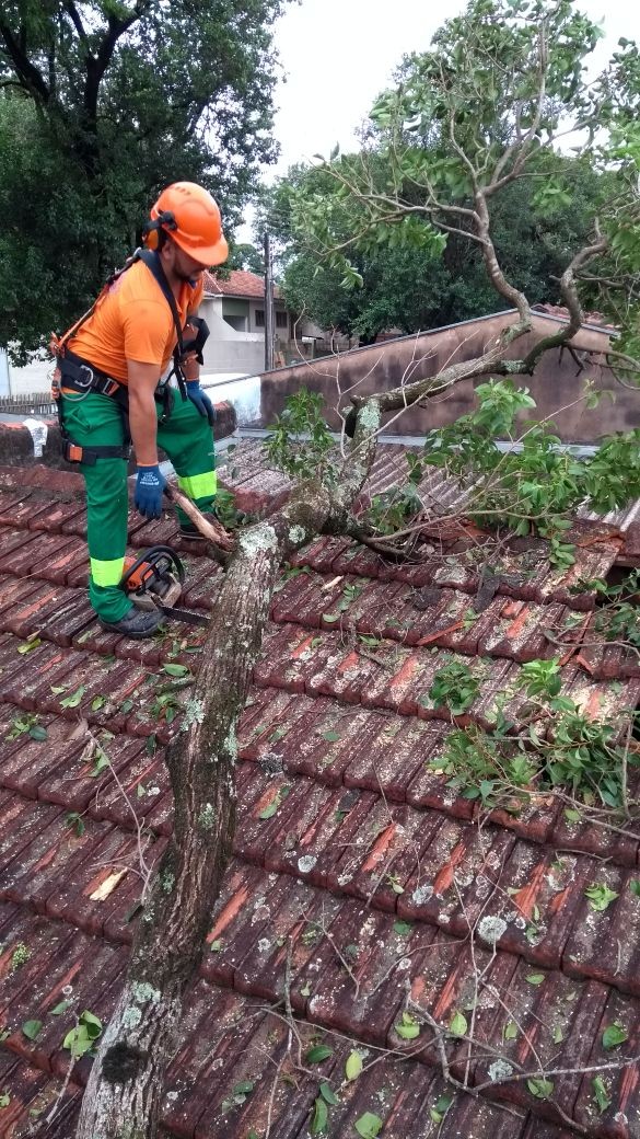 Temporal no fim de semana deixa três bairros de Maringá sem energia