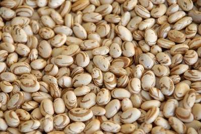 Chuva prejudica produção de feijão no Paraná