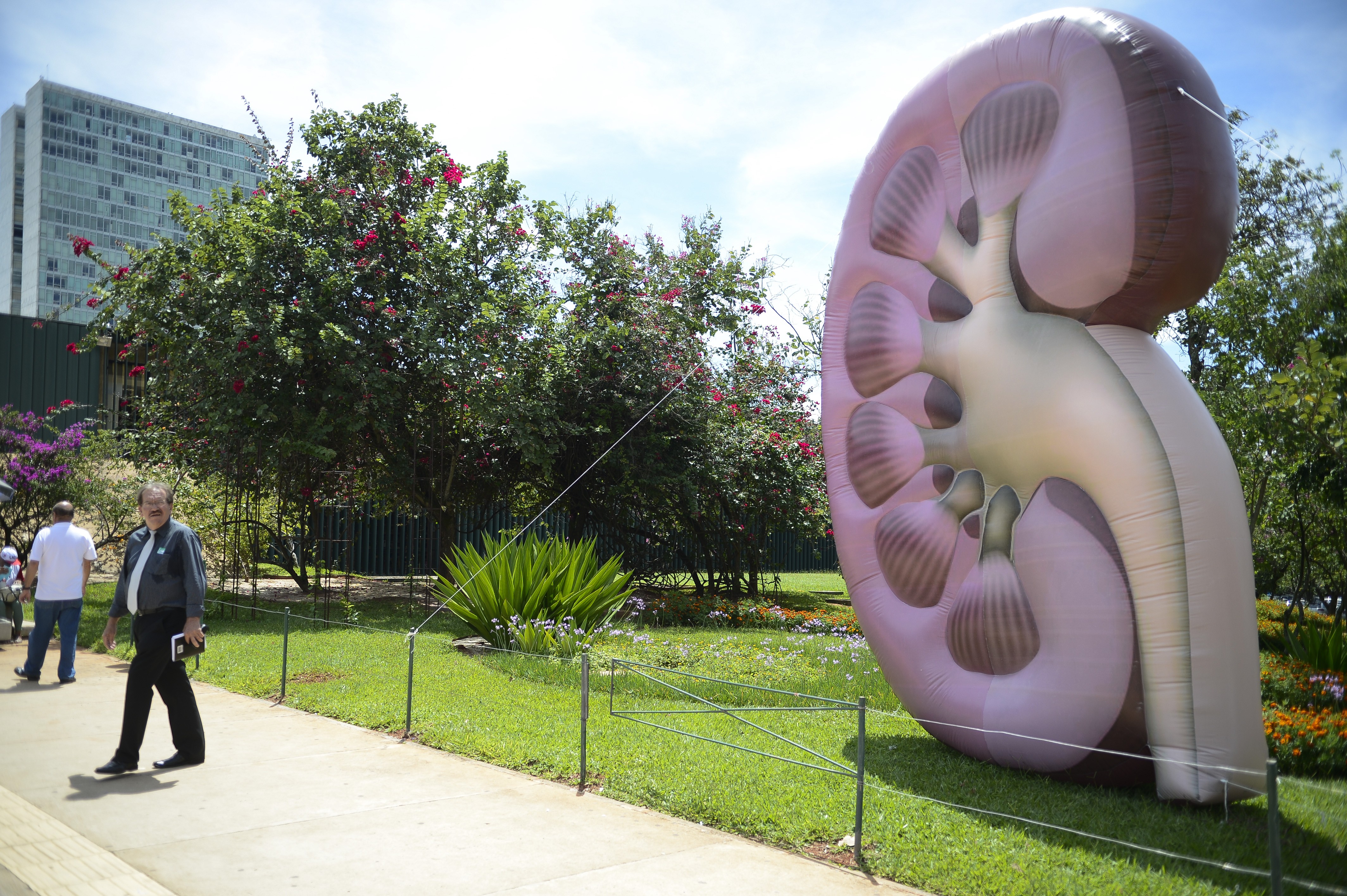 A preocupação é com a doença renal crônica