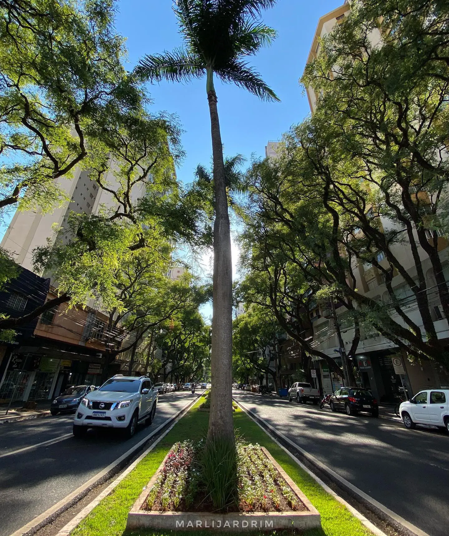 Tempo segue firme nesta quinta-feira (17), com máxima de 31°C em Maringá