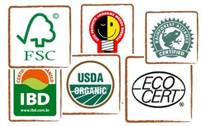Importância da certificação ambiental para as organizações