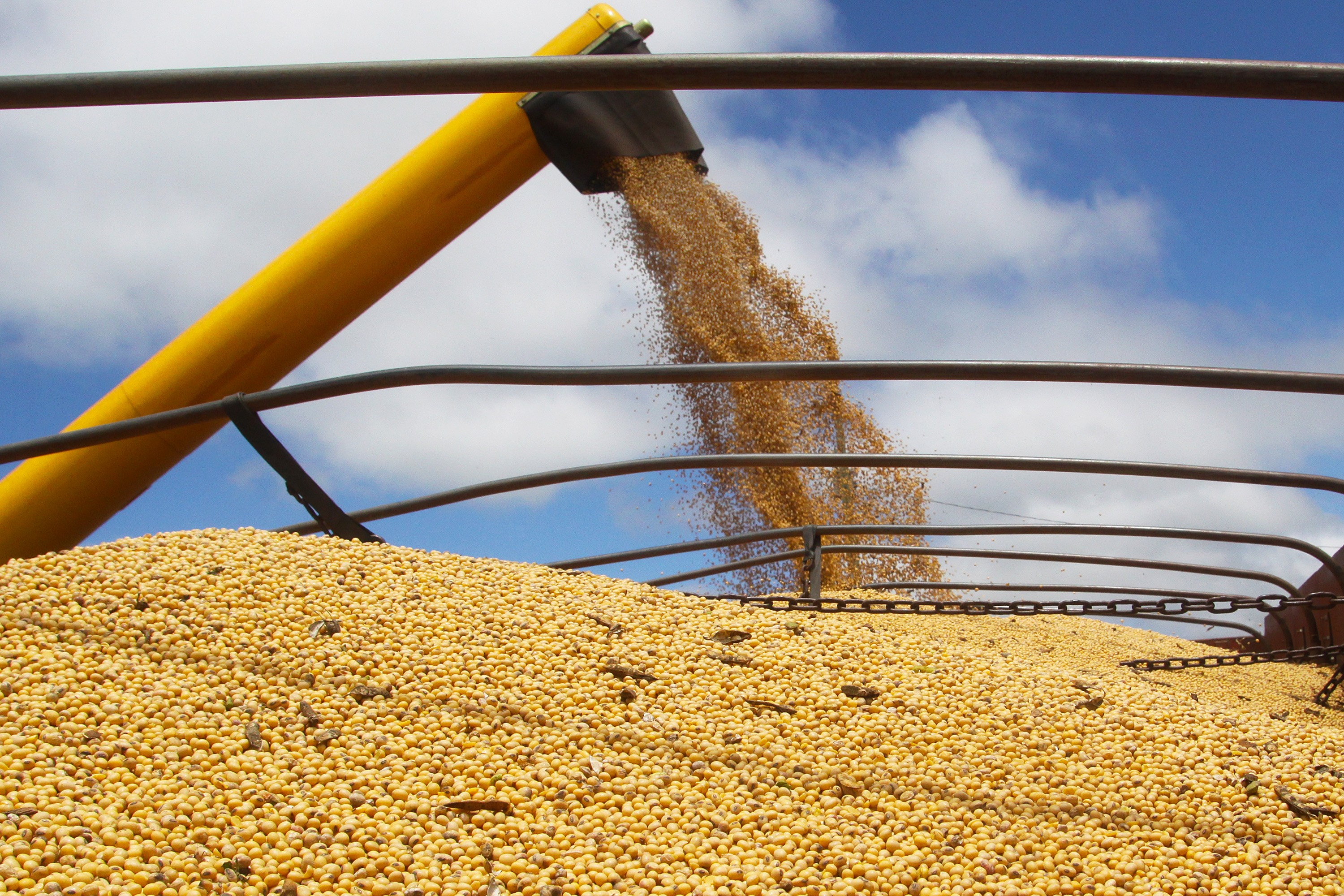 Safra recorde garantiu crescimento de 13% da agropecuária em 2017