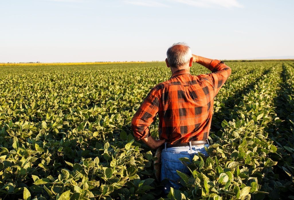 No campo, produtores rurais estão cada vez mais conectados