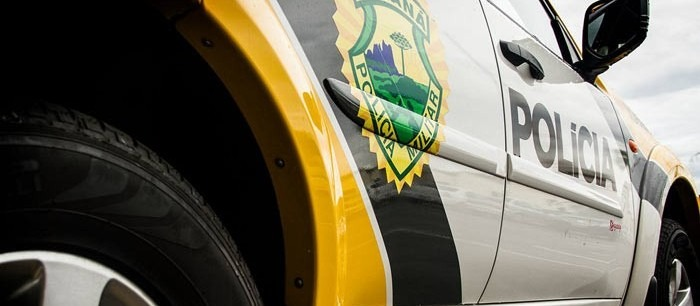 Criança é atacada por pitbull e populares tentam agredir dono de cachorro