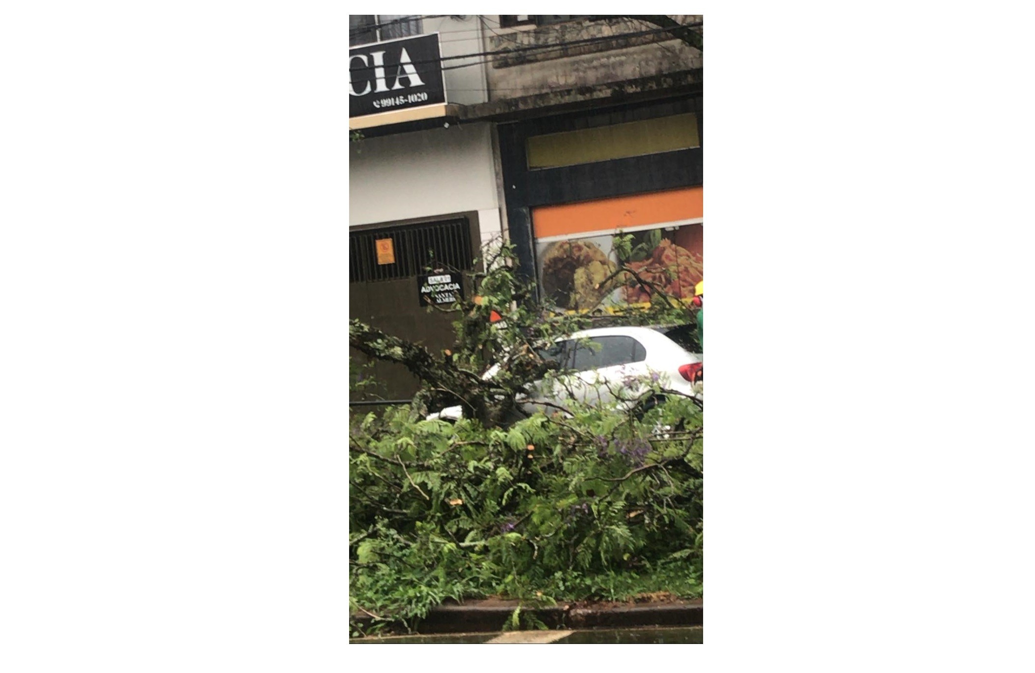 Copel atende mais de 200 ocorrências por causa do temporal