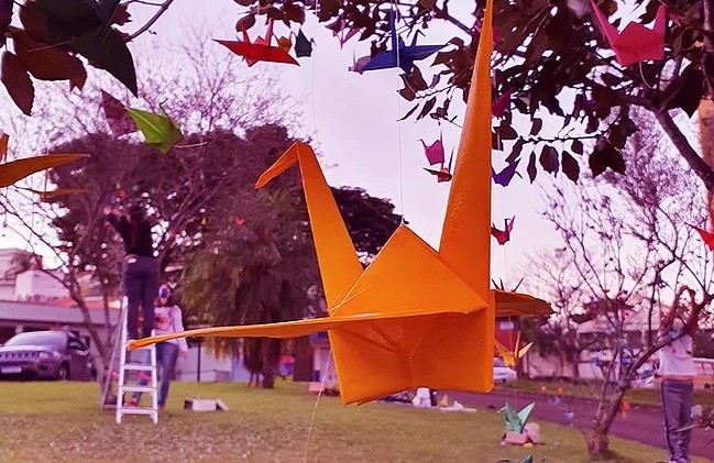 Simbolizando saúde e longevidade, artista expõe em Maringá mil dobraduras de tsurus