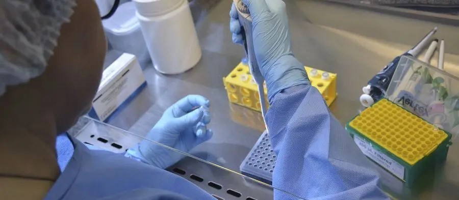 Covid-19 em Maringá: veja detalhes do boletim atualizado nesta sexta-feira (7)