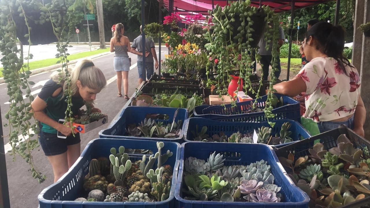 Feira das Flores retoma atividades com muitos clientes