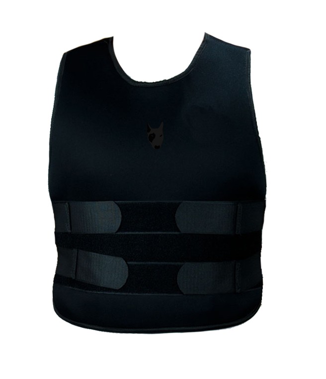 Duas empresas disputam licitação para compra de coletes balísticos