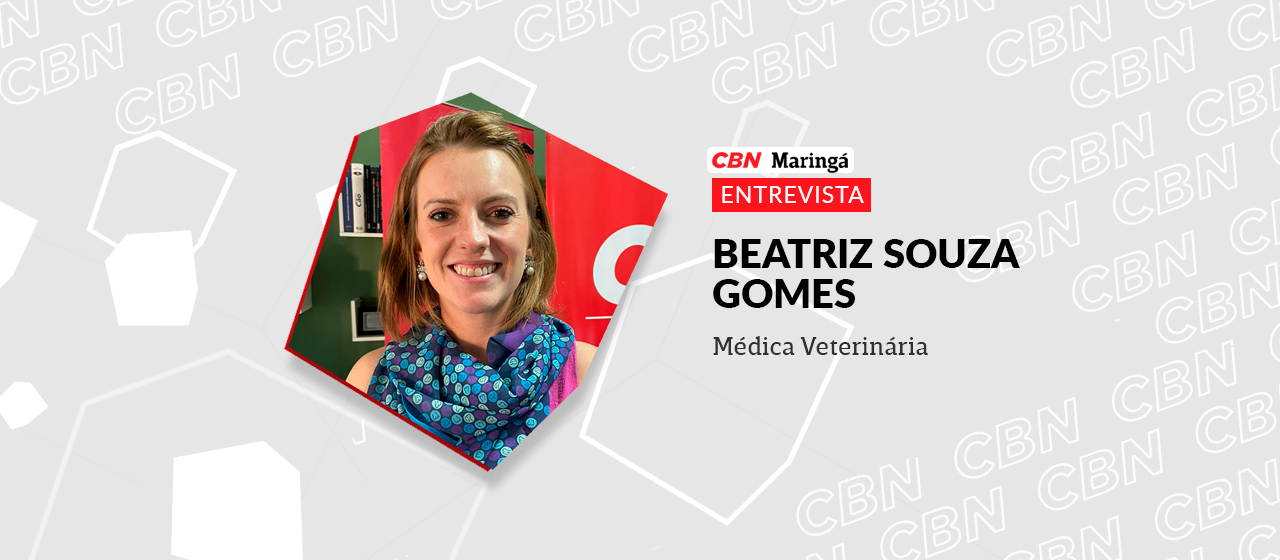 Medicamentos veterinários manipulados são mais fáceis de administrar