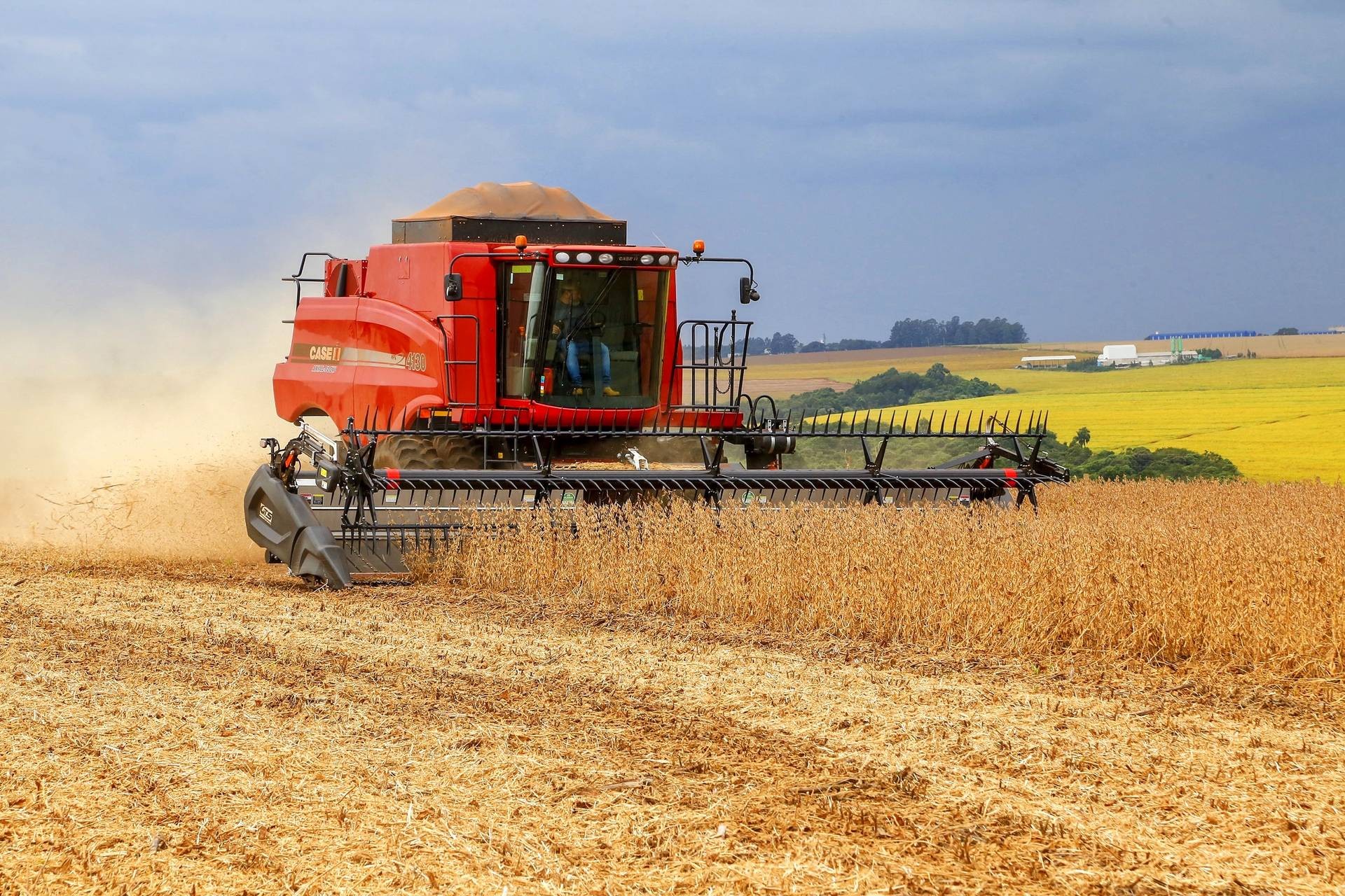 Comecialização da soja brasileira avançou pouco em junho, aponta pesquisa