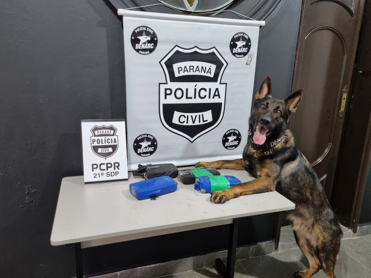 Com auxílio do cão farejador, Denarc apreende crack em fundo falso de veículo